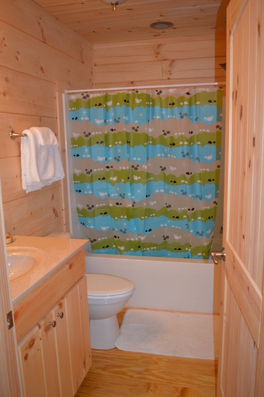 private bathroom shower tub at vacation rental log cabin